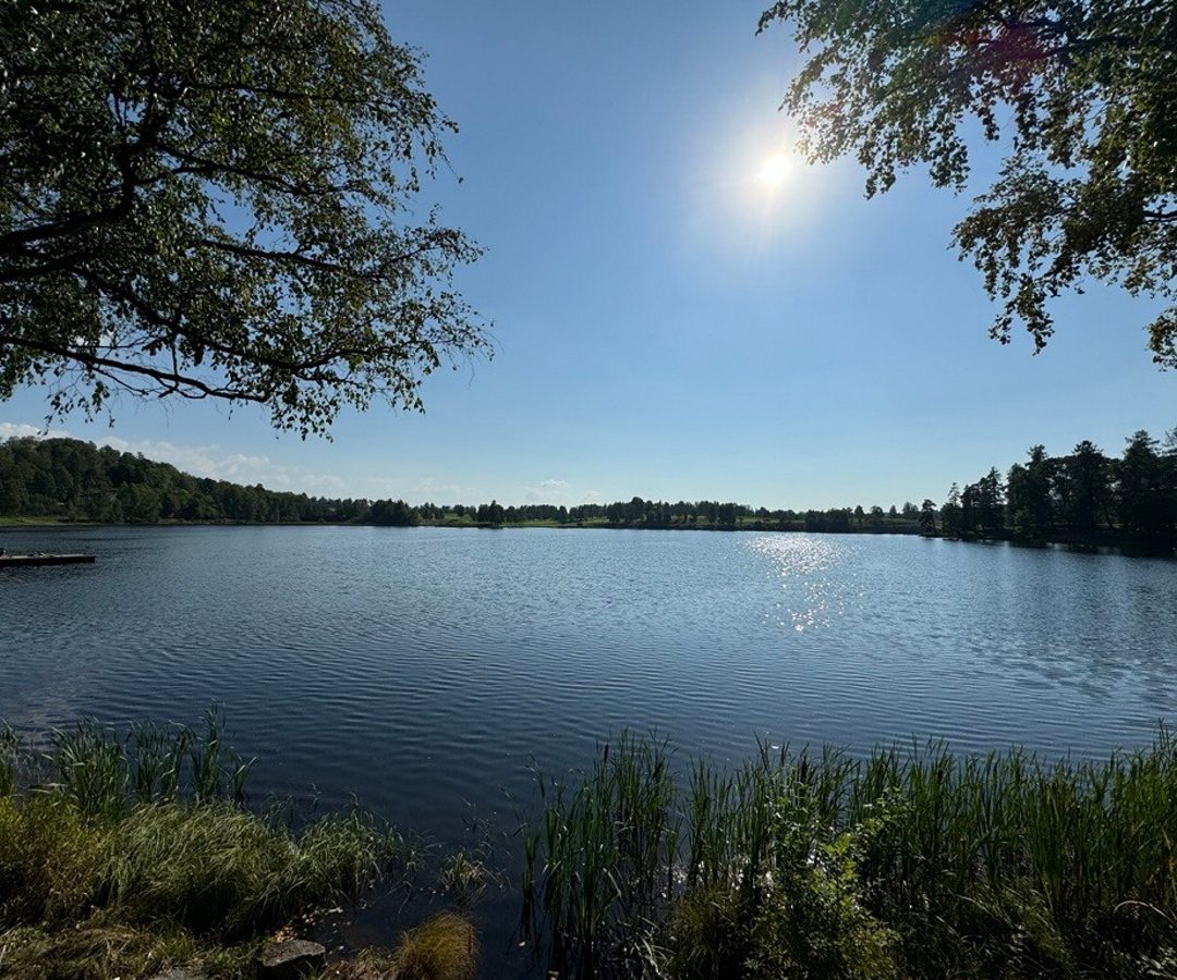 Utsikt over Bogstadvannet