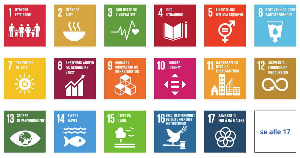 FNs bærekraftsmål - bærekraftsmål øvelse