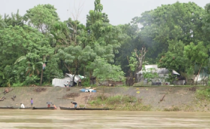 Brunt hav og grønne trær i Bangladesh