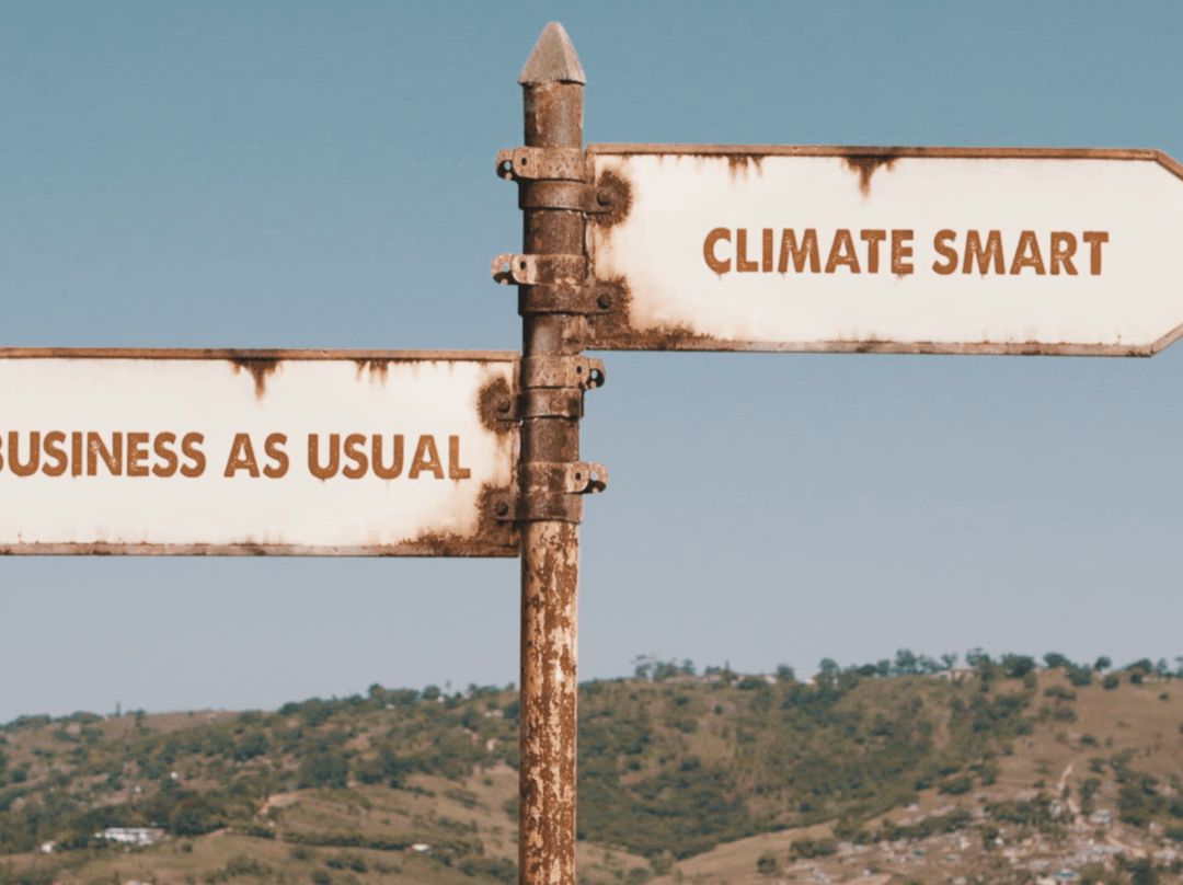 skilt i ødemarken - peker mot business as usual den ene veien og climate smart den andre - klimafilm flerspråklige filmer