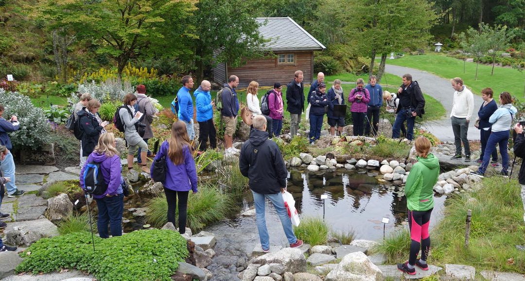 botanisk hage - forsøpling av vannmiljøet