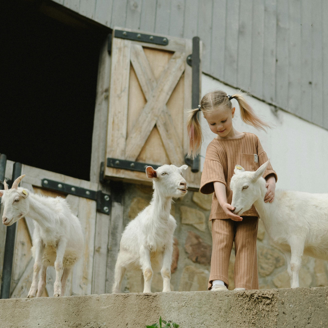 ei jente som hilser på geiter - klimautfordringer og økologisk dyrehold