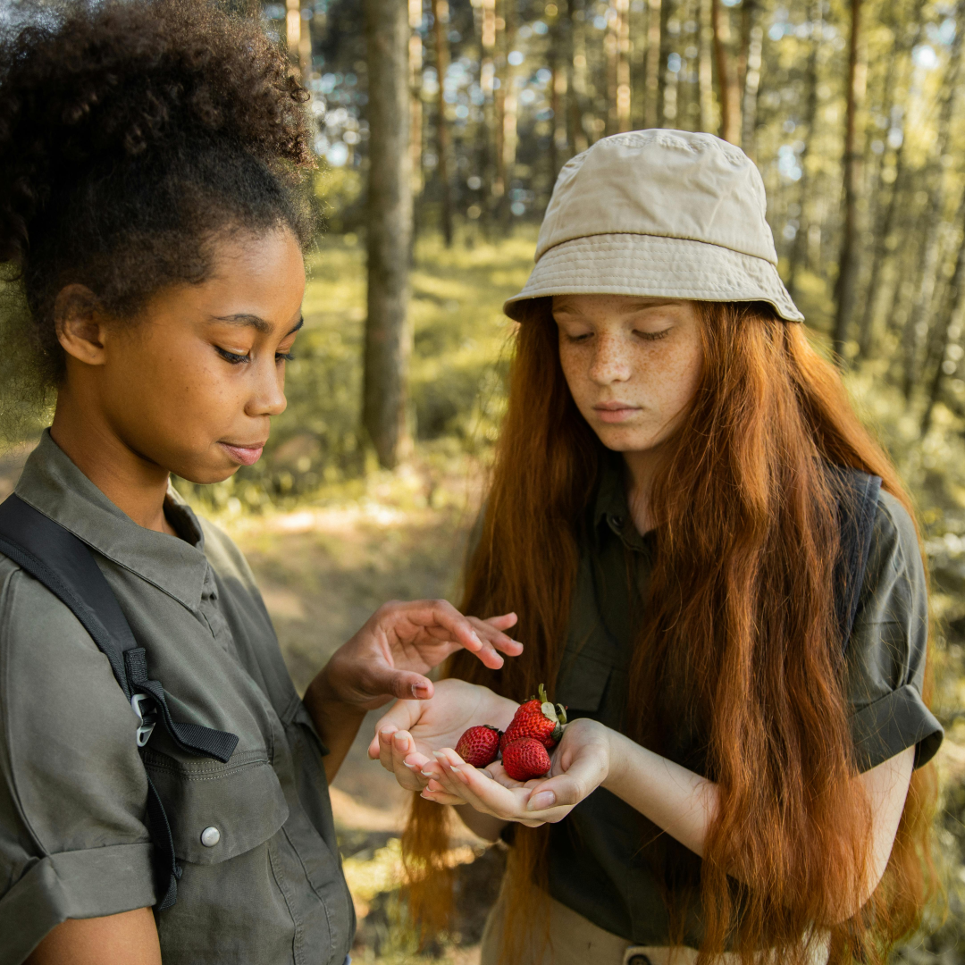 barn i skogen - læring i friluft