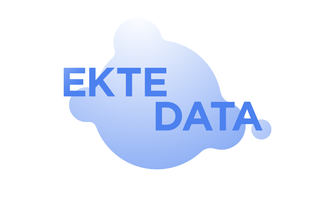 Ekte Data logo med sky bak