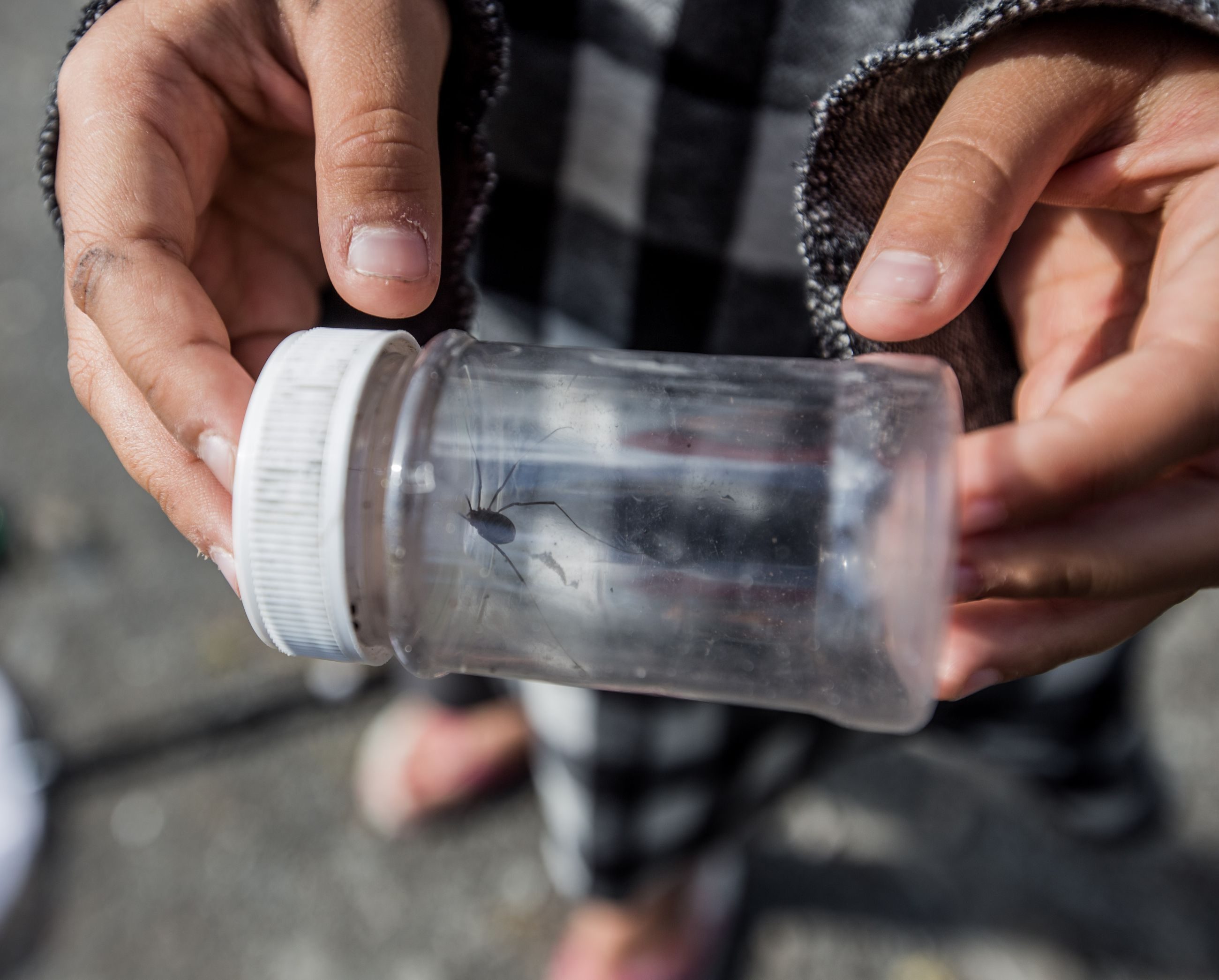 Besøkssenter våtmark Oslo tilbyr opplevelser og læring ved Lilløyplassen og Østensjøvannet