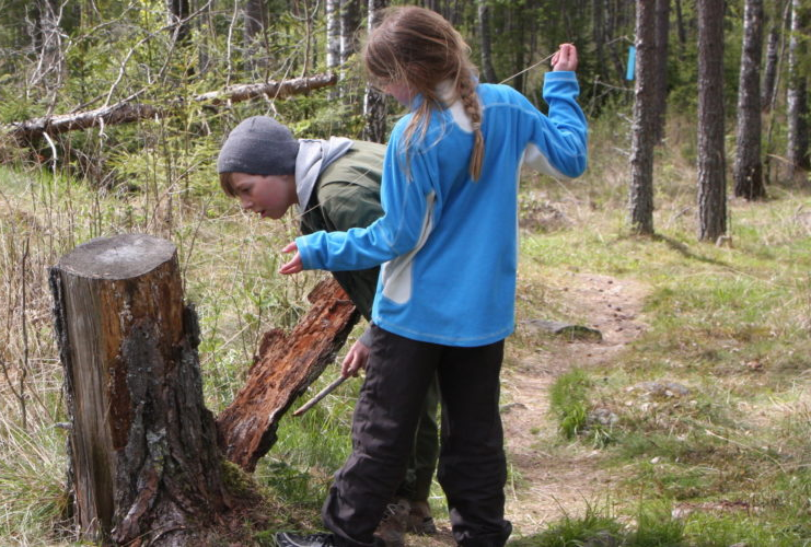 barn i skogen - lære med skogen