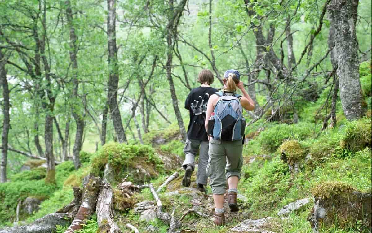 Elever deltar på undervisning i realfag og friluftsliv med Markaskolen i Oslomarka