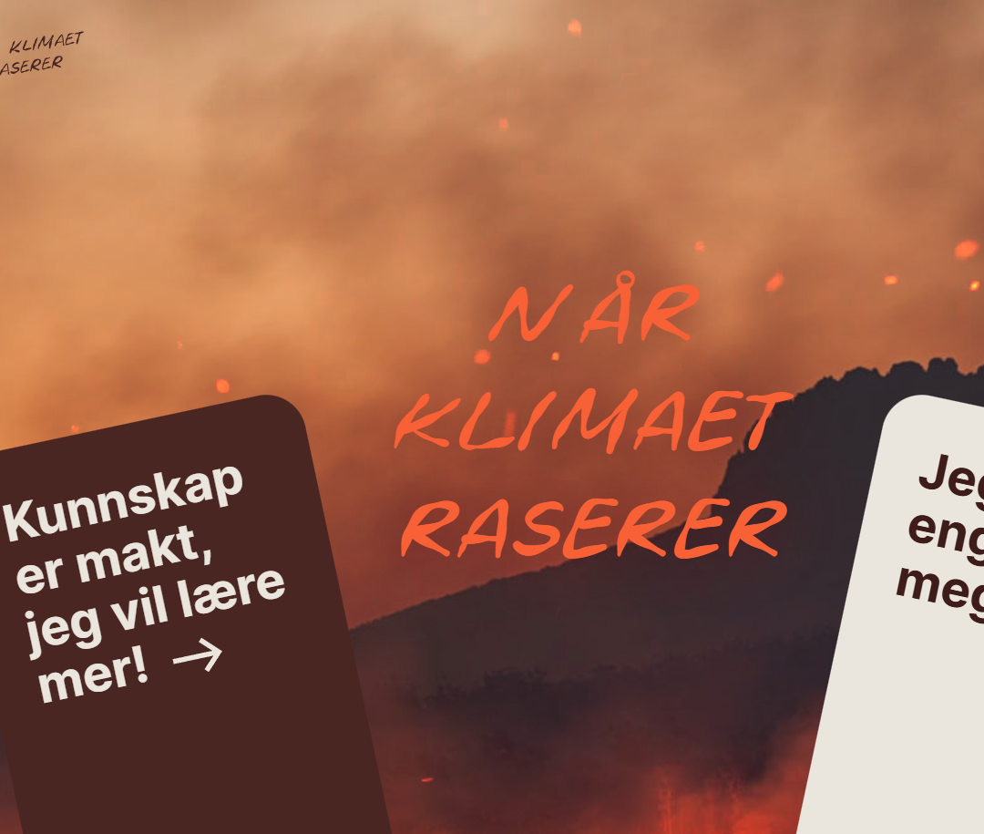 konsekvenser av klimaendringer - Røde kors