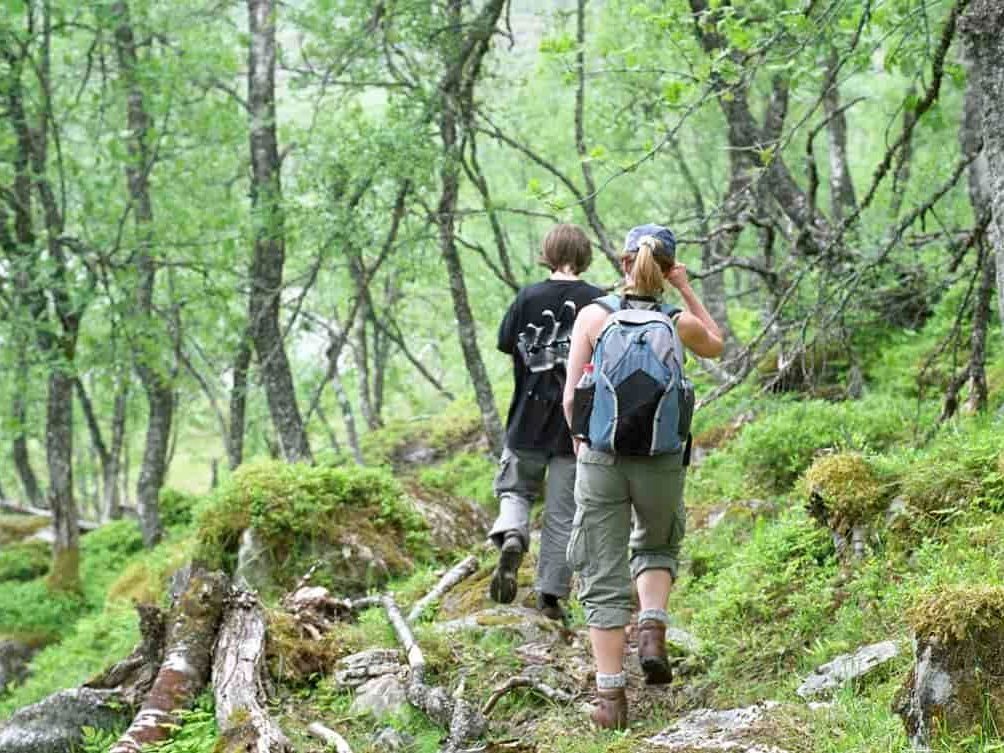 Elever deltar på undervisning i realfag og friluftsliv med Markaskolen i Oslomarka
