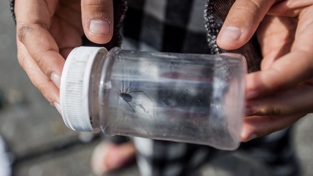 Besøkssenter våtmark Oslo tilbyr opplevelser og læring ved Lilløyplassen og Østensjøvannet