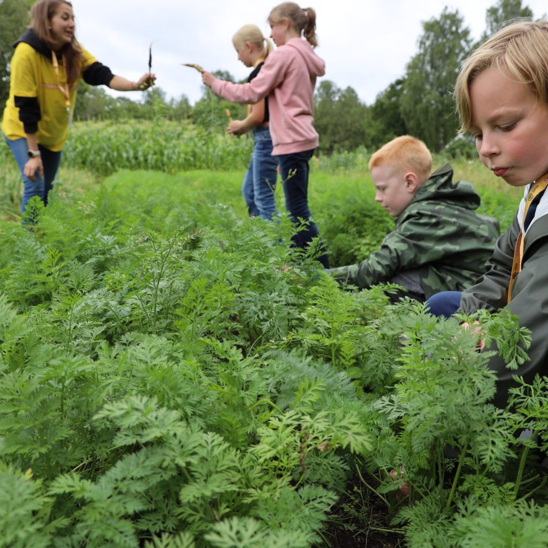 Barn i skolehagen -