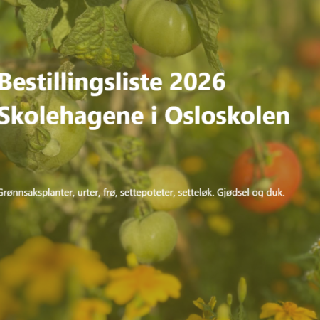 Bestillingslista til skolehagene