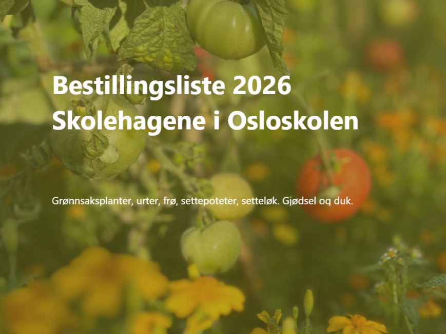 Bestillingslista til skolehagene