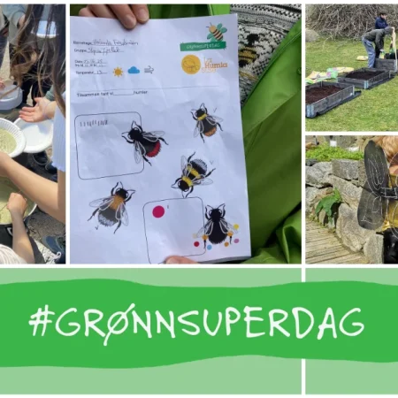 Plakat av grønnsuperdag26 - Foto: GrøntFlagg