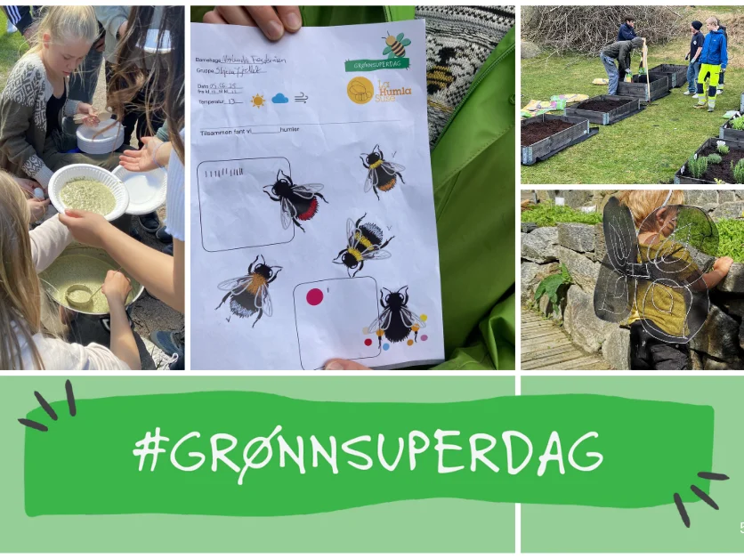 Plakat av grønnsuperdag26 - Foto: GrøntFlagg