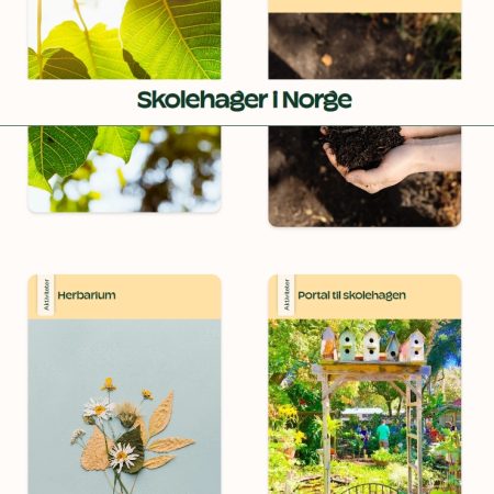 Samleside for skolehage ressurser - Økologisk Norge